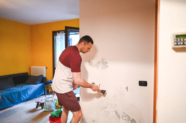 Best Commercial Mold Removal  in Searingtown, NY
